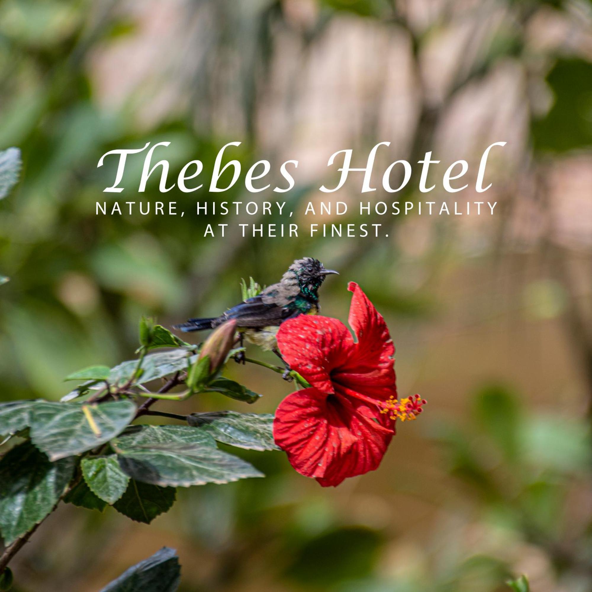 Thebes Hotel Louxor Extérieur photo