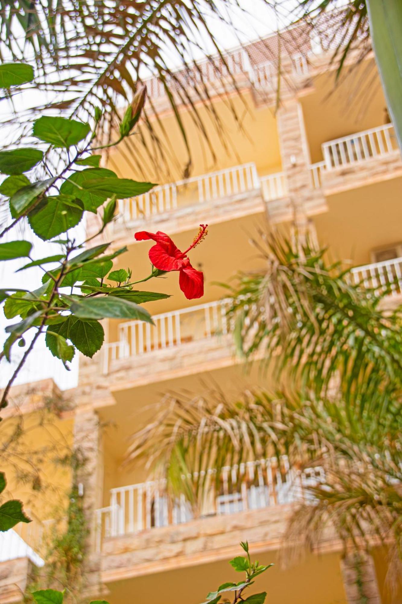 Thebes Hotel Louxor Extérieur photo